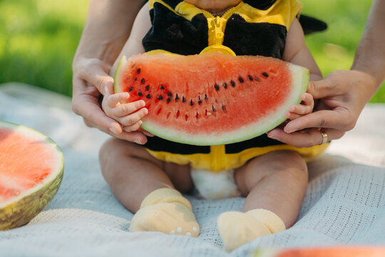 Close up of parent and baby hands holding big red watermelon slice outdoors in park picnic, summer food concept.