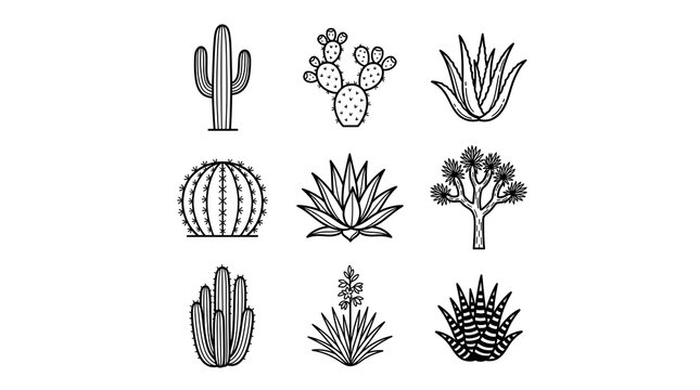 A collection of hand drawn black and white cactus and succulent illustrations arranged in a grid pattern isolated on a plain white background design