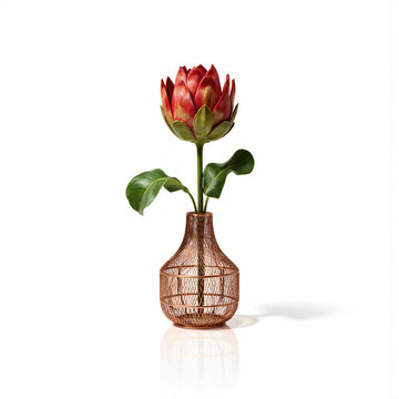 Copper Mesh Geometric Protea Single protea head (Protea eximia) in hand-woven copper mesh vase with geometric form, captured at 45-degree