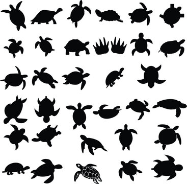 Various turtle silhouettes