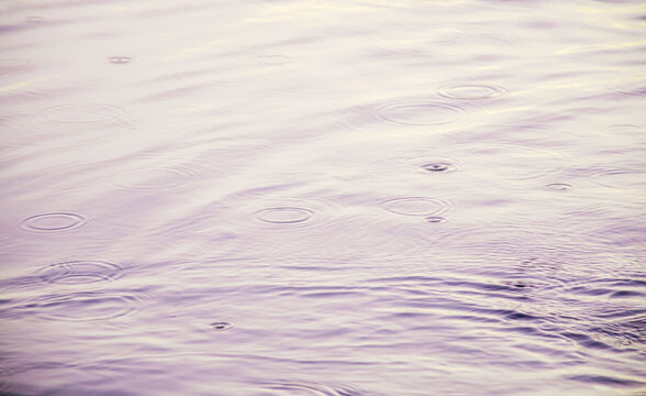 Close-up view of raindrops falling onto a calm water surface, creating delicate circular ripples and gentle waves. Soft purple and pink reflections create a peaceful, atmospheric mood