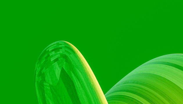 Abstract curved wooden shapes with vibrant green textures on green
