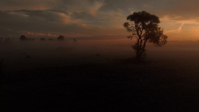 sunrise over the field