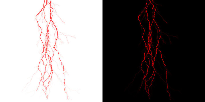 Abstract red root system isolated on transparent background