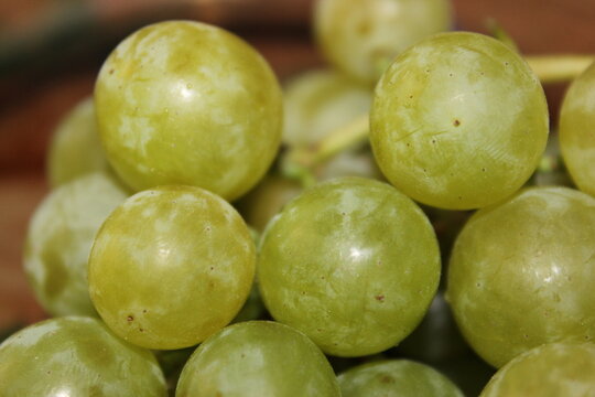 Close-up of white grapes