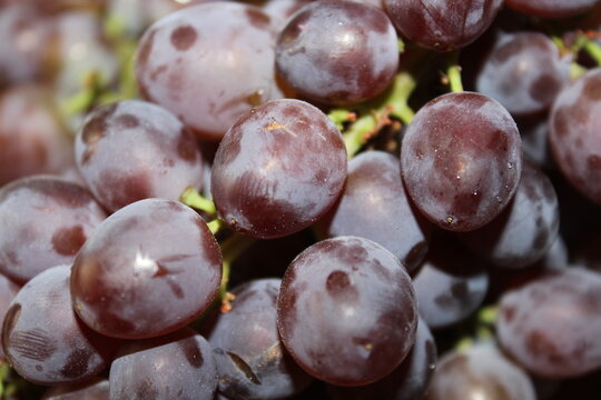 A bunch of grapes on the table
