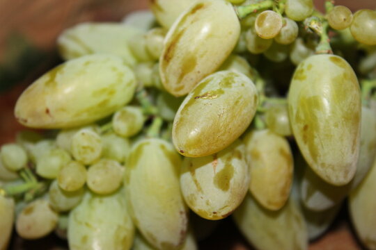 A bunch of grapes on the table