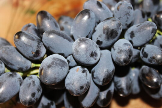 Close-up of blue grapes