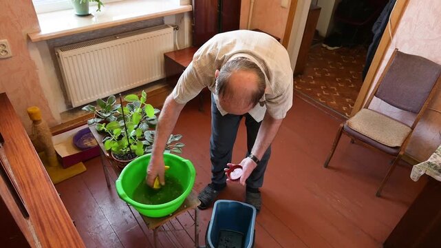 Senior man caring for houseplants, washing flower pots and watering indoor flora at home