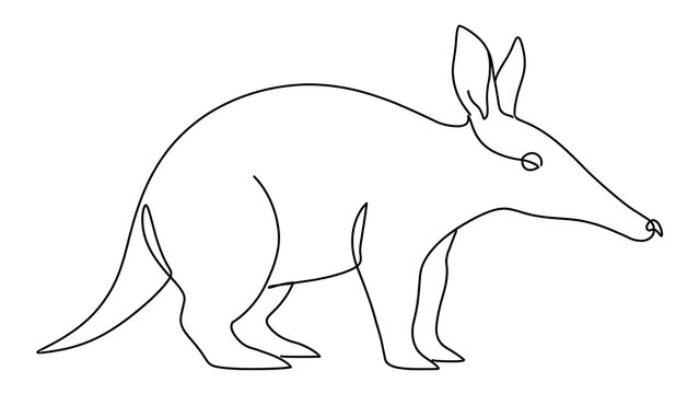 Aardvark white background.
