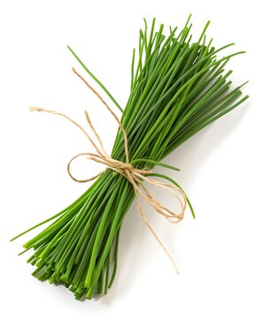 chives bundle fresh herb isolated on white background