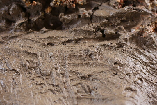 Texture of mud background in natural. selective focus