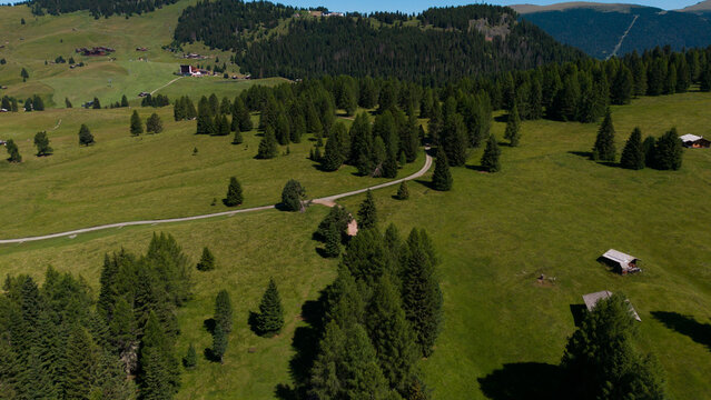 View of beautiful landscape in the Alps with fresh green meadows in the background on a sunny day with blue sky and clouds in summertime. Alpe de Siusi, Dolomite Alps