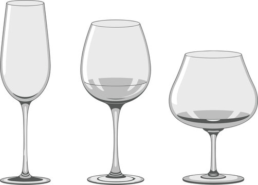 Set of three different glassware types including champagne flute and wine glass vector illustration