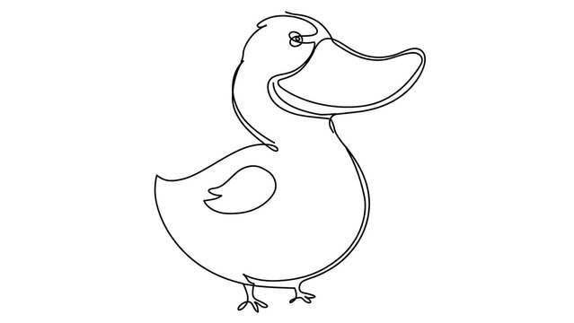 Cartoon duck on white background.