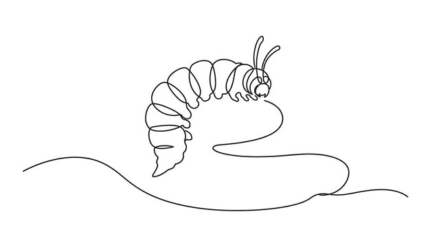 Caterpillar crawling on white background.