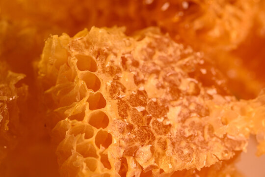 Macro texture of open honeycomb cells in warm light