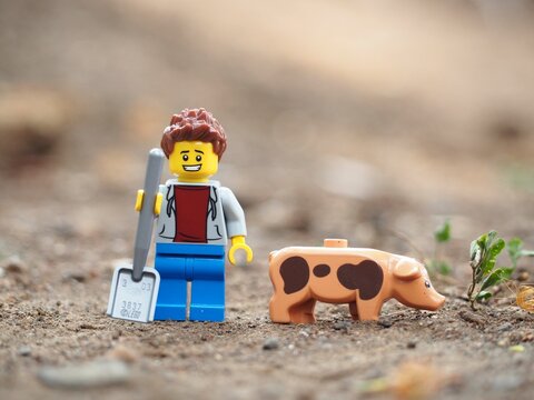 Indonesia - November 30, 2025 : Mini toy of action figure at outdoor with blurred background. Miniature photography concept design. Minifigure of farmer character and pig at farmland with green grass.