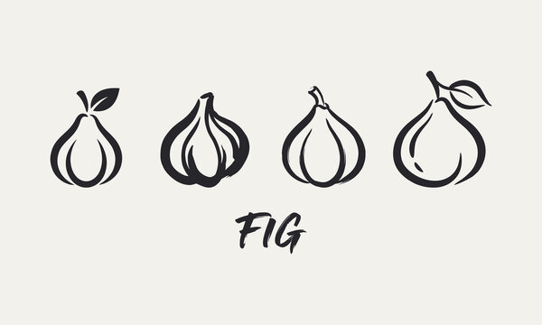 Set of four hand drawn black ink fig fruit icons isolated on light background