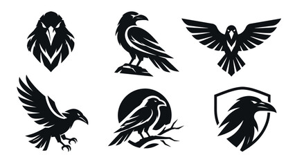 Obraz premium Black Raven Crow Logo Mascot Set, Majestic Bird Flying Perched Silhouette and Shield Emblems, Vector Illustration