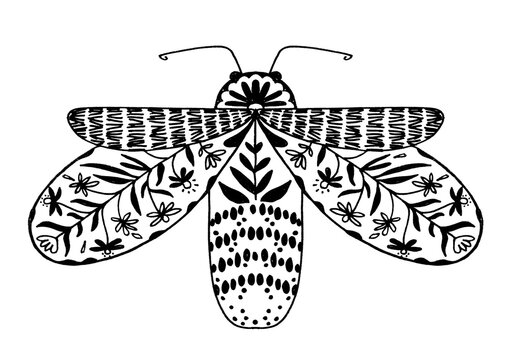 Folk-art hand-drawn black and white moth with botanical patterns, isolated clipart
