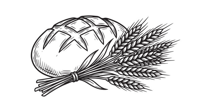 Vintage bread loaf and wheat stalks vector, hand drawn bakery illustration, rustic engraved sourdough bread art for organic food branding