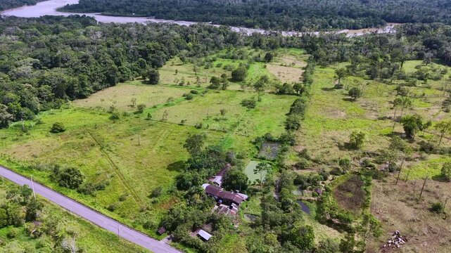 Aerial of a cattle farm cut out of the Amazon rainforest, In the Ecuadorian Amazon with the Rio Napo in distance