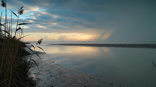 Reeds silhouette beside a calm tidal basin as a distant rain wall drifts across the open estuary, blending cool blue cloud shadow with a muted strip of warm light near the low coastal horizon