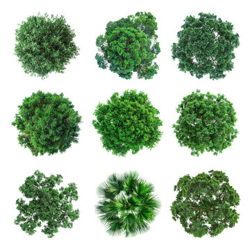 Top view of diverse trees set png