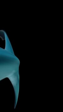 A photorealistic 3D CGI animation of a great white shark biting near the camera and swimming past. Delivered with a true alpha channel, so you can easily replace the background with any footage or col