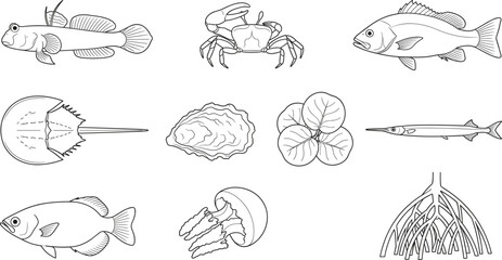 Obraz premium Hand Drawn Marine Life Collection with Fish Crab Stingray Shrimp Shells and Seaweed Illustrations