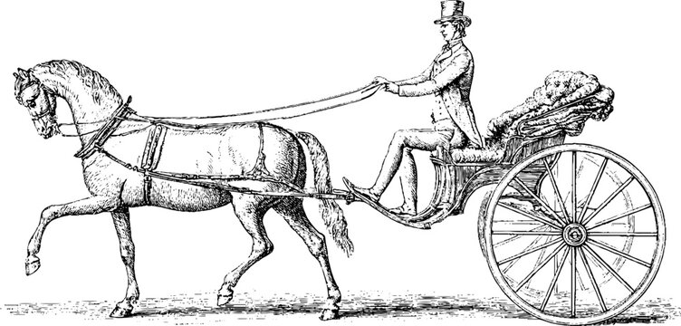 Victorian coachman driving horse drawn carriage engraving isolated on white background for vintage transport background and historical poster design