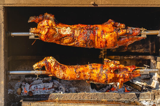 Two whole pigs roasting on spits over an open fire during a traditional outdoor feast in Istria, Croatia, with crispy golden-brown skin and glowing embers beneath.