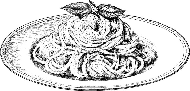 Antique engraved plate of coiled spaghetti in vintage etching style for menu design and packaging background