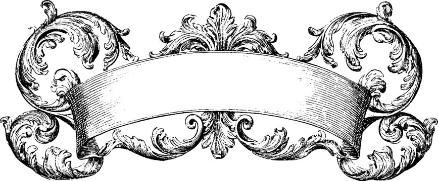 Vintage ribbon scroll banner engraving with ornate floral scrollwork for decorative label background or ornamental header design