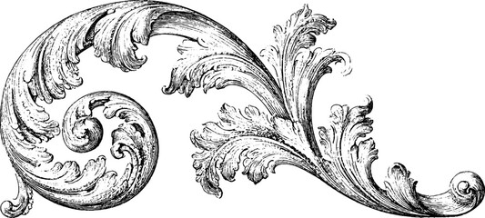 Obraz premium Antique engraved scroll pattern isolated on white background for vintage decorative border and ornate motif for classic baroque design projects