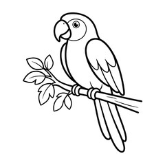 Fototapeta premium Cute Parrot Tropical Bird Black Outline Coloring Page