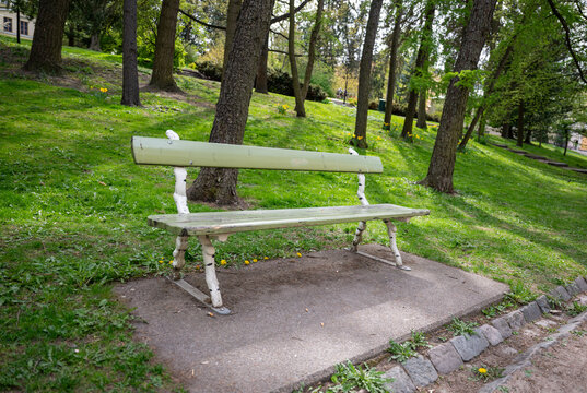 Old wooden park bench in green public garden with grass and trees