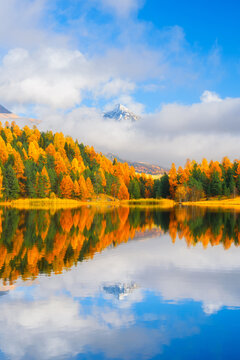 Vertical photo. Lake, mountain and autumn forest. Reflections on the water surface. Incredible view of the mountain valley. Background, wallpaper, postcards.