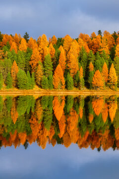 Vertical photo. Lake and autumn forest. Reflections on the water surface. Incredible view of the mountain valley. Background, wallpaper, postcards.