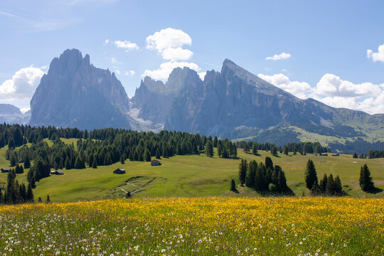 Alpe di Siusi, Dolomitas