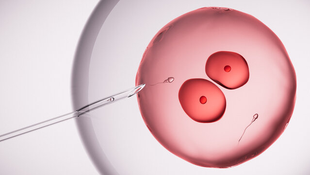 IVF and Egg Freezing 3D Render with Abstract Human Cell and Egg Cell Visualization