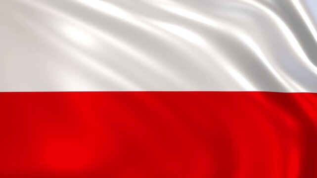 Poland flag waving in the wind, Polish national flag background 4k animation.