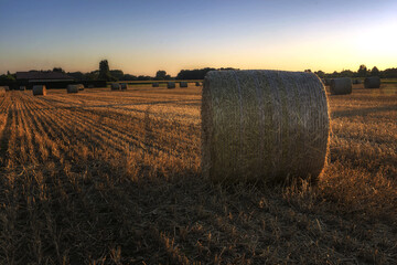 hay bales in the field © thierry