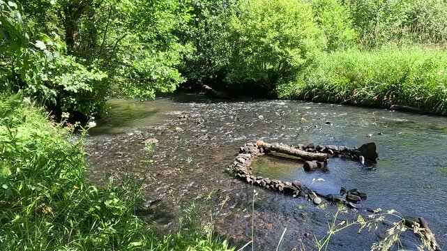 River North Esk flowing through woodland near Edinburgh, Midlothian, Scotland. Ambient water sound. 4K, 30fps.
