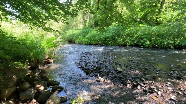 River North Esk flowing through woodland near Edinburgh, Midlothian, Scotland. Ambient water sound. 4K, 30fps
