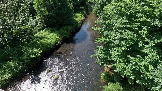 River North Esk flowing through woodland near Edinburgh, Midlothian, Scotland. Ambient water sound. 4K, 30fps