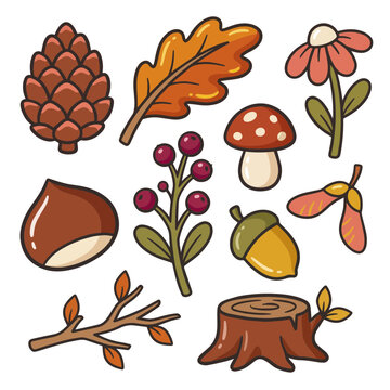 Autumn Woodland Clipart Collection Vector Illustration Set with Pinecone Chestnut Flower and Berry Branch