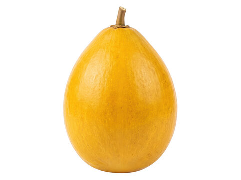 Single whole yellow canistel fruit with tropical fruit exotic fruit egg fruit raw fruit sweet fruit organic produce vegetarian food vegan food dietary food as transparent object