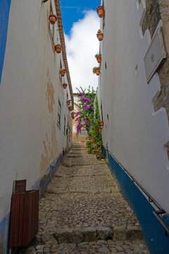 Charming narrow cobblestone street lined with white walls, flower pots, and blooming purple bougainvillea in Obidos.